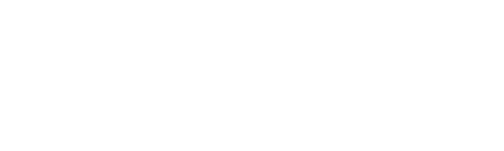 True Media Holding Logo